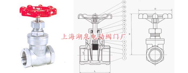 Z11W-16/25P不銹鋼絲扣內(nèi)螺紋閘閥結(jié)構(gòu)圖片